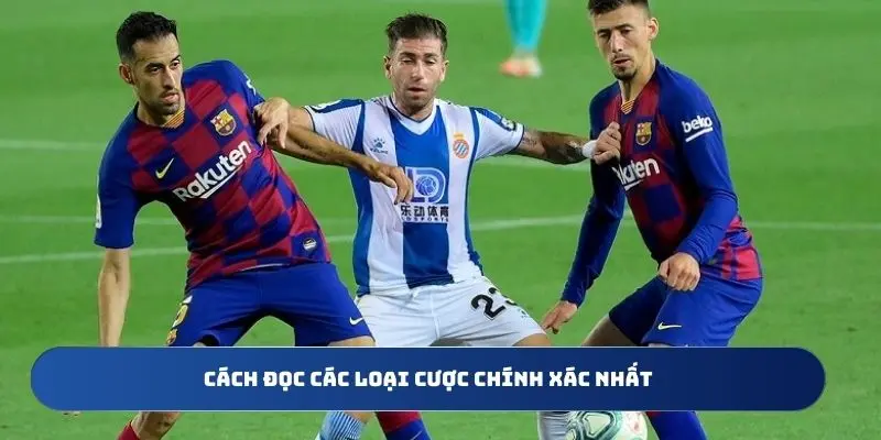 Cách đọc các loại cược chính xác nhất