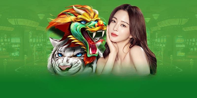 Luật lệ cơ bản ai tham gia Dragon Tiger cũng cần biết